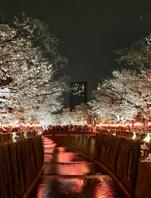 RINKO(ﾘﾝｺ) お花見を理由に