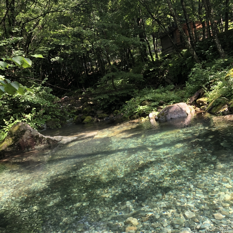 MINATO(ﾐﾅﾄ) 夏を先取り 🌿