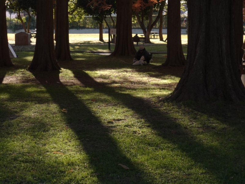 MASH(ﾏｯｼｭ) 光と影の景観は切り取りたくなる