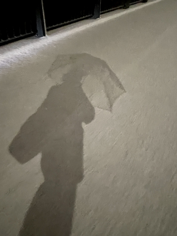 RINKO(ﾘﾝｺ) ☃️雪が降ると