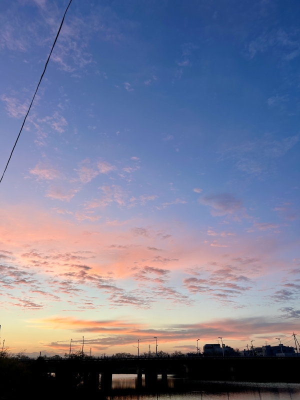 HARUMI(ハルミ) 花火大会