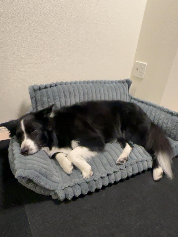 ATSUMU（ｱﾂﾑ） 思考過多