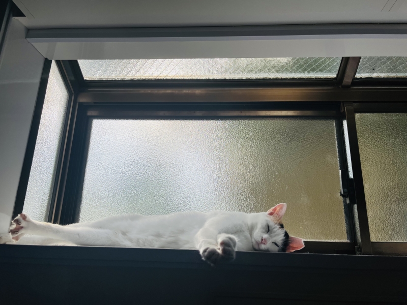 MOCHI(モチ) それは弱さじゃない。