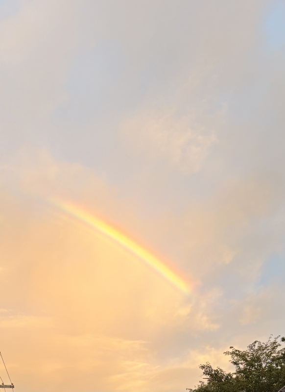 TAKEI(タケイ) 🌈