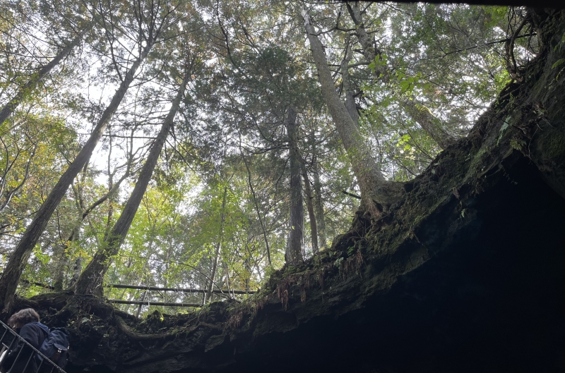 SHINNOSUKE(シンノスケ) 森林浴