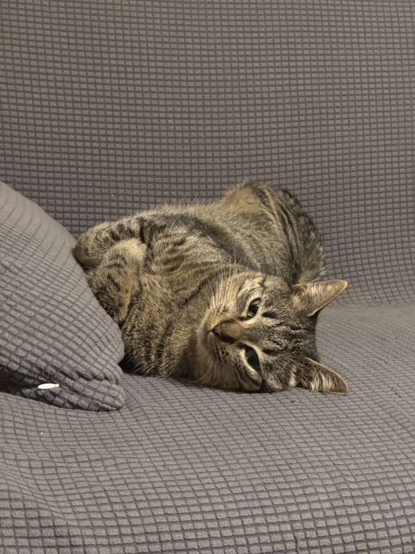 HYO(ﾋｮｳ) 範馬勇次郎