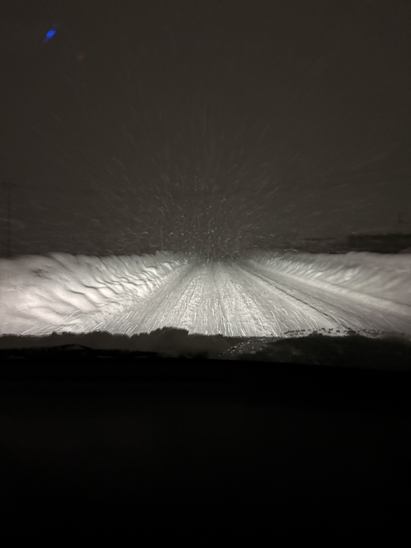 RUI(ルイ) 真っ白