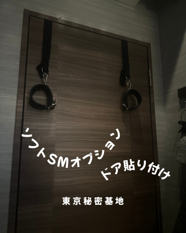 GAKU(ｶﾞｸ) ドアはりつけ、ソフトSM