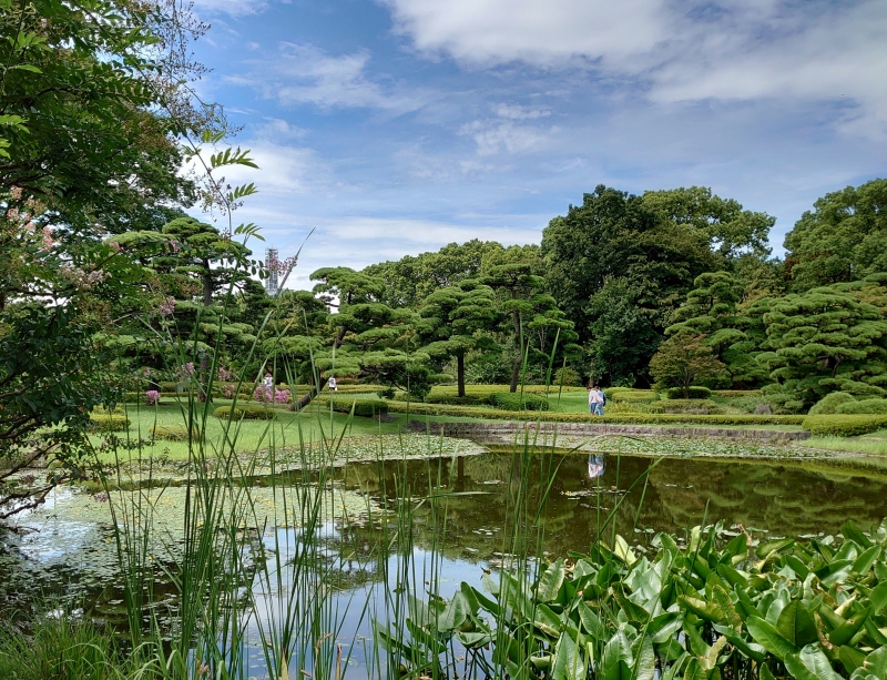 KOYOI(ｺﾖｲ) 活動日和