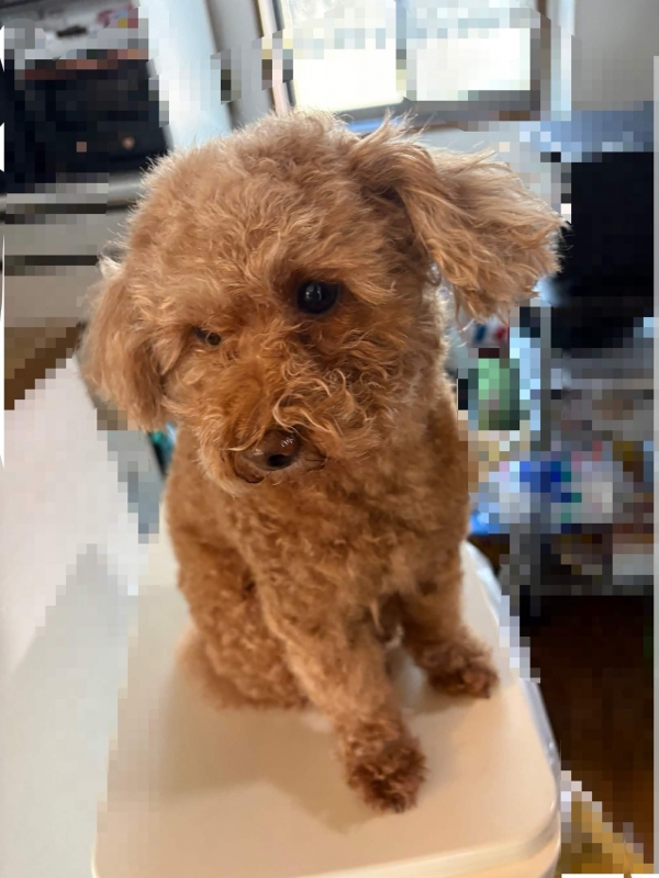 ASUMURA(ｱｽﾑﾗ) 公式ラインつくりました！！