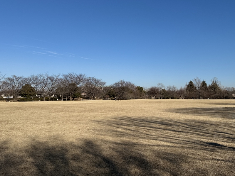 TAKAYA（ﾀｶﾔ） 失って強くなる