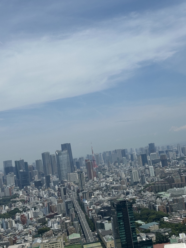 RURITO(ﾙﾘﾄ) 🗼