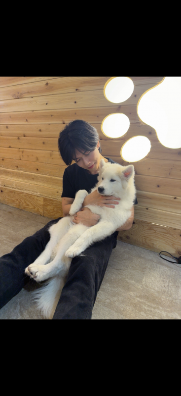HANI(ハニ) 愛犬家 はに🐝