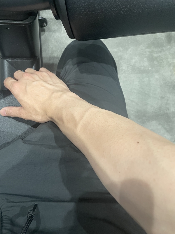 RUI(ルイ) 突然ですが血管自慢させてください