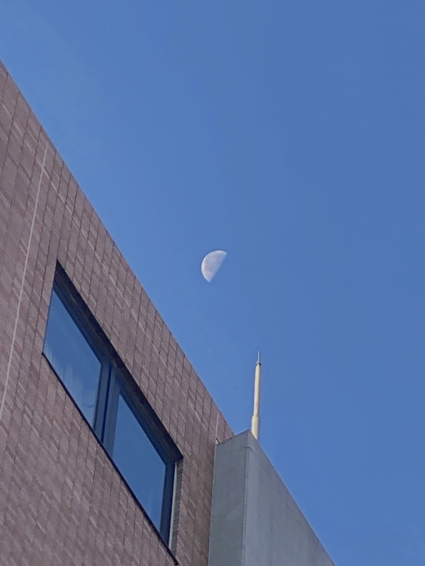 NARUMI(ナルミ) 小さな幸せ💐