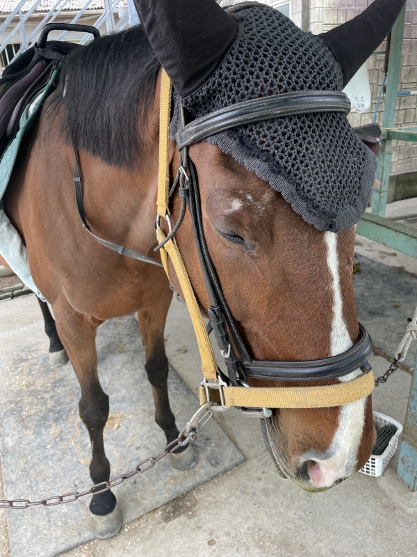 KUZE(ｸｾﾞ) 乗馬