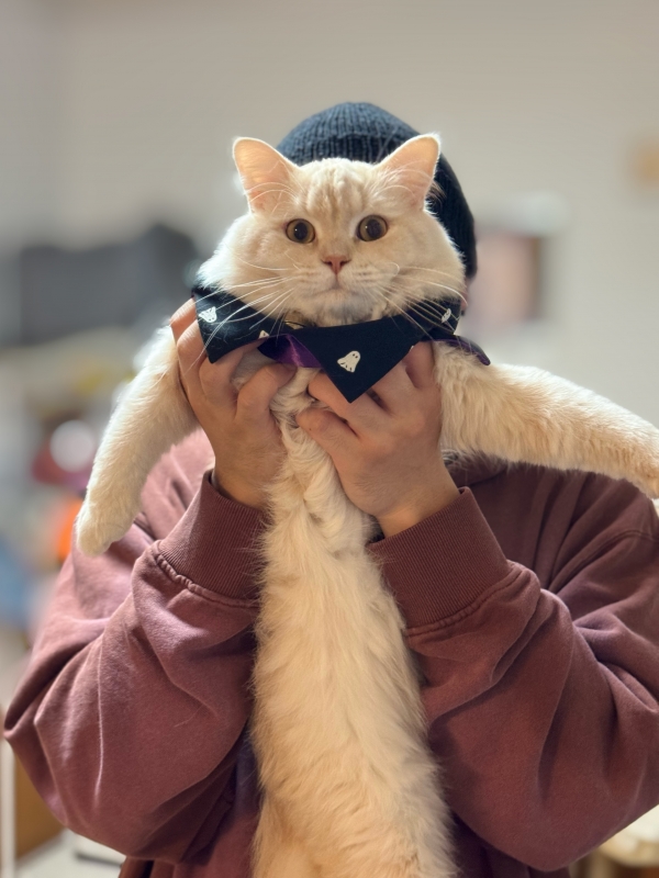 BOSS(ﾎﾞｽ) (^ට ‧̫ ට^)੭