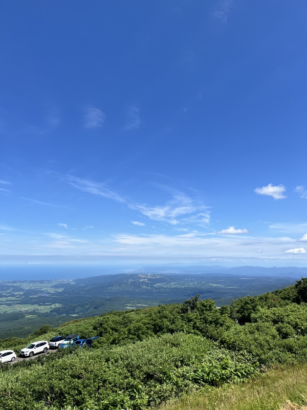TOMA（ﾄｳﾏ） 基準
