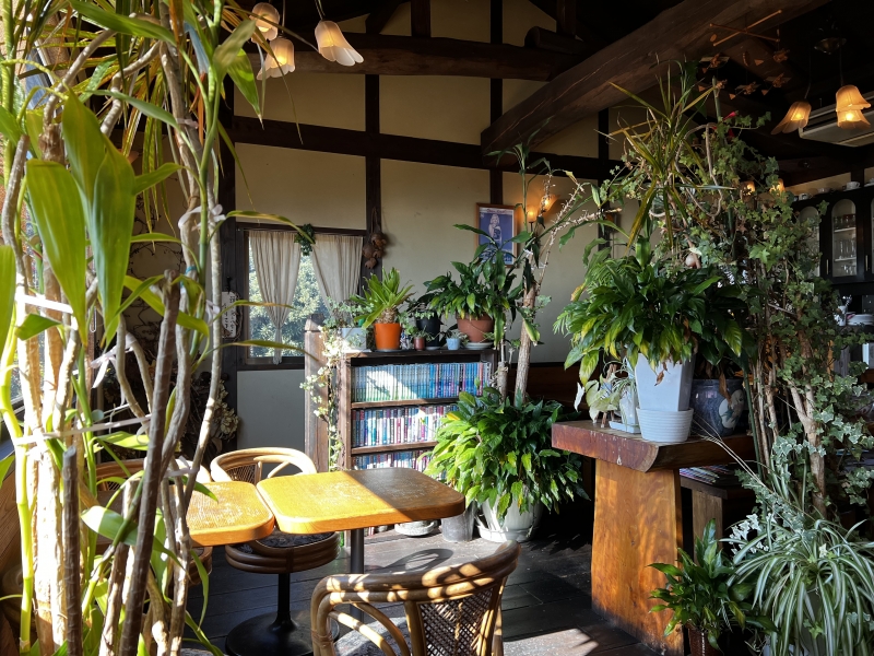 AOI （アオイ） 1/27空き状況