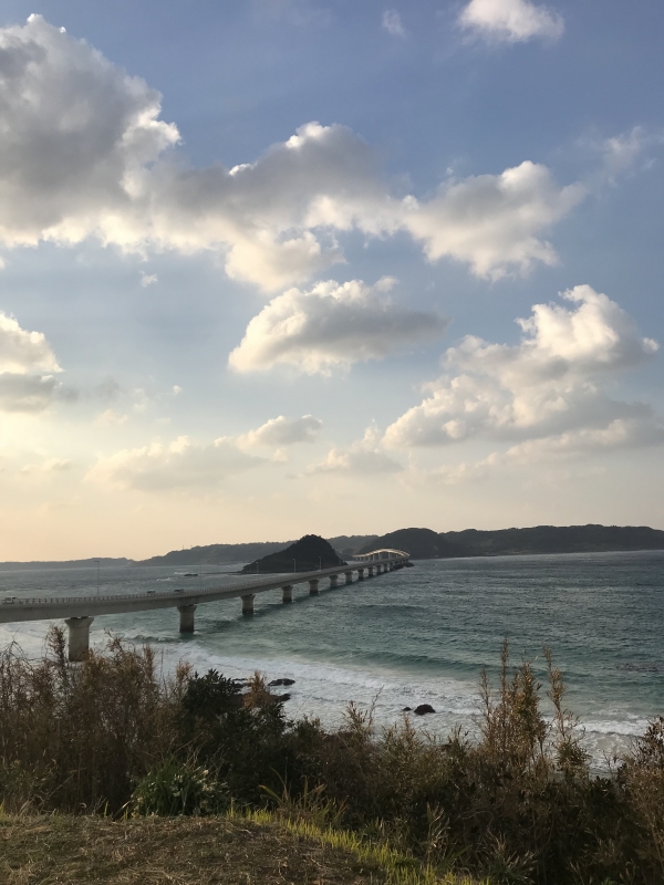 TANJI(タンジ) 角島✨