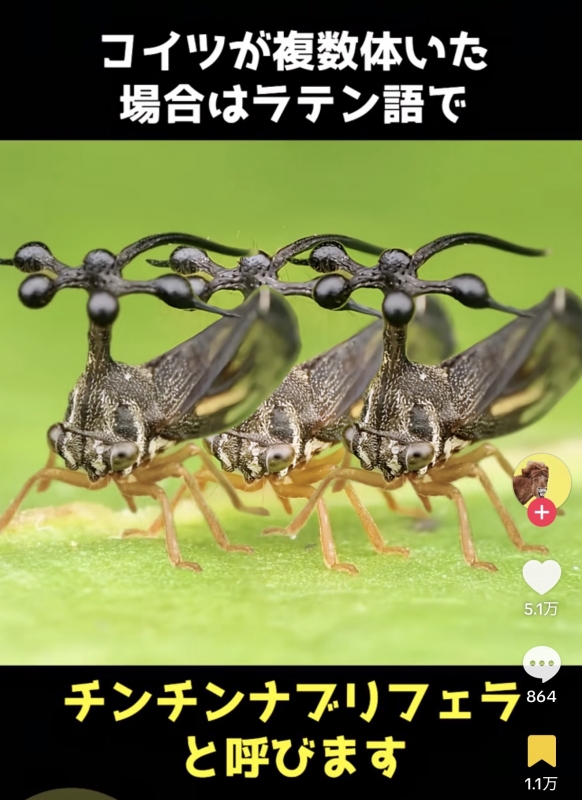 TOYUNG(トユン) 写メ日記だからこそ