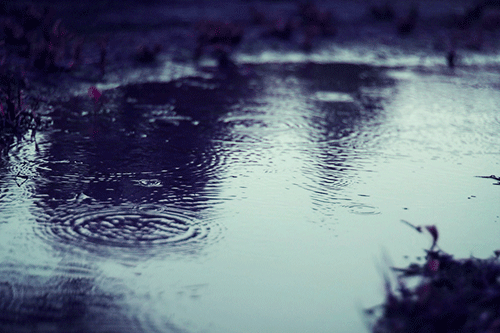 HOKUTO(ﾎｸﾄ) 雨…🥲‎