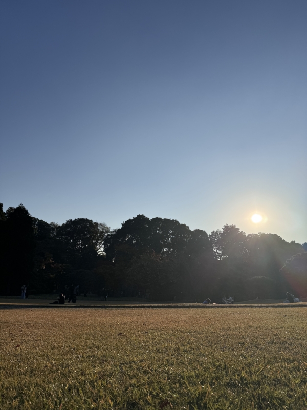 MAMORU(ﾏﾓﾙ) 🥰