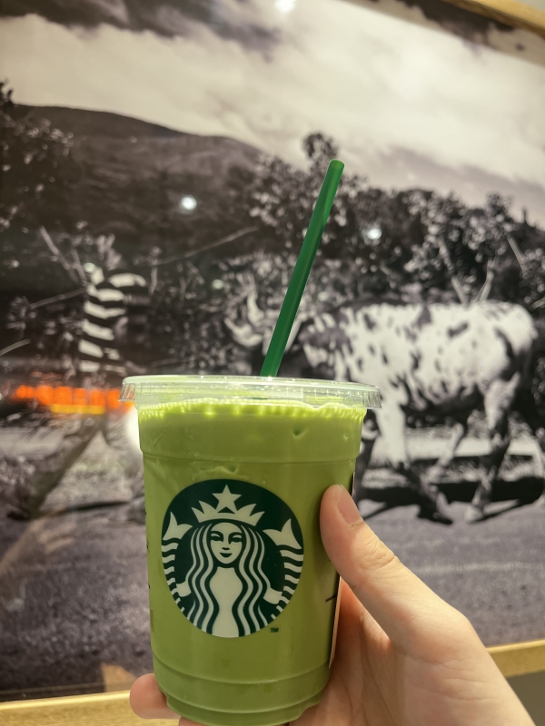 HIKARU(ﾋｶﾙ) 🌓スタバのお気に入り