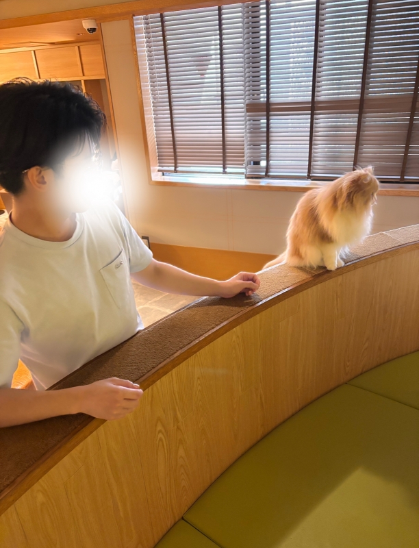 JINPACHI(ジンパチ) 🐱