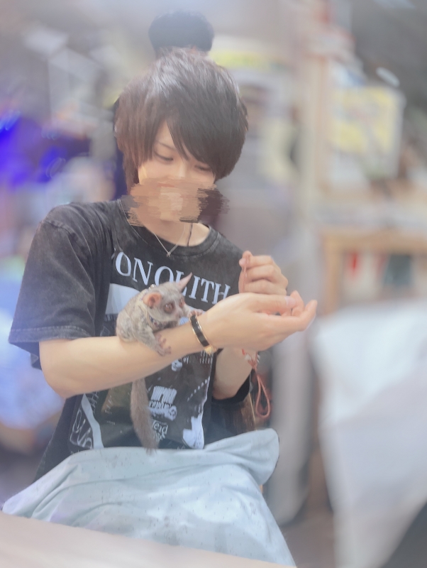 MAFUYU(マフユ) 【珍しい動物】