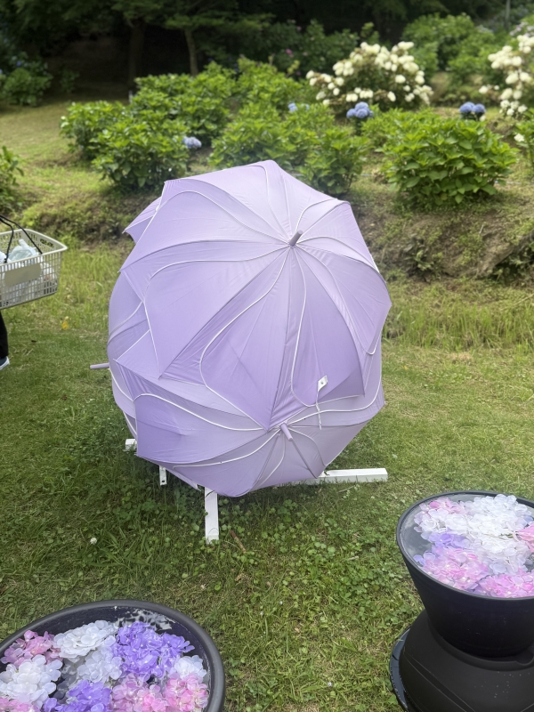 RAIJI(ライジ) Flower