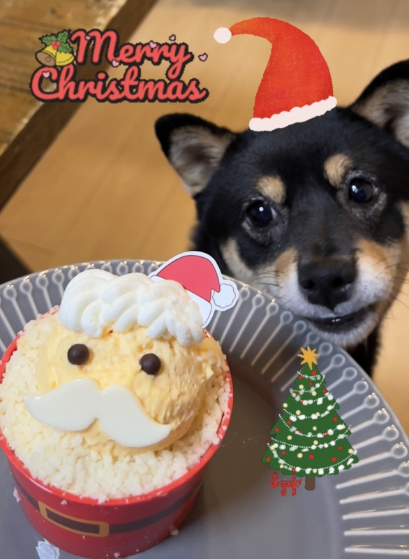 SHO(ショウ） クリスマス投稿🎄