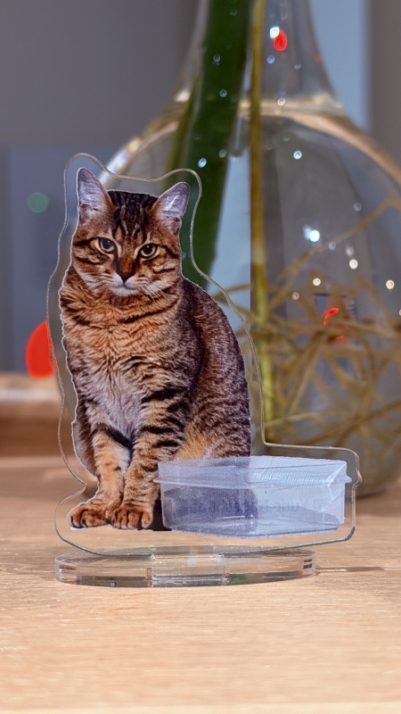 YUSUKE(ユウスケ) 猫派?犬派?