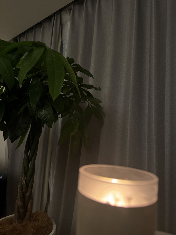 ARASHI(ｱﾗｼ) 【夜】