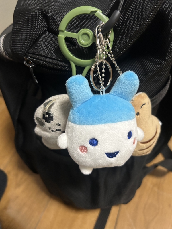 MIZUNO(ﾐｽﾞﾉ) 今日のみみっち