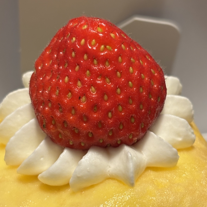 SOUP(ｽｰﾌﾟ) イチすーぷ