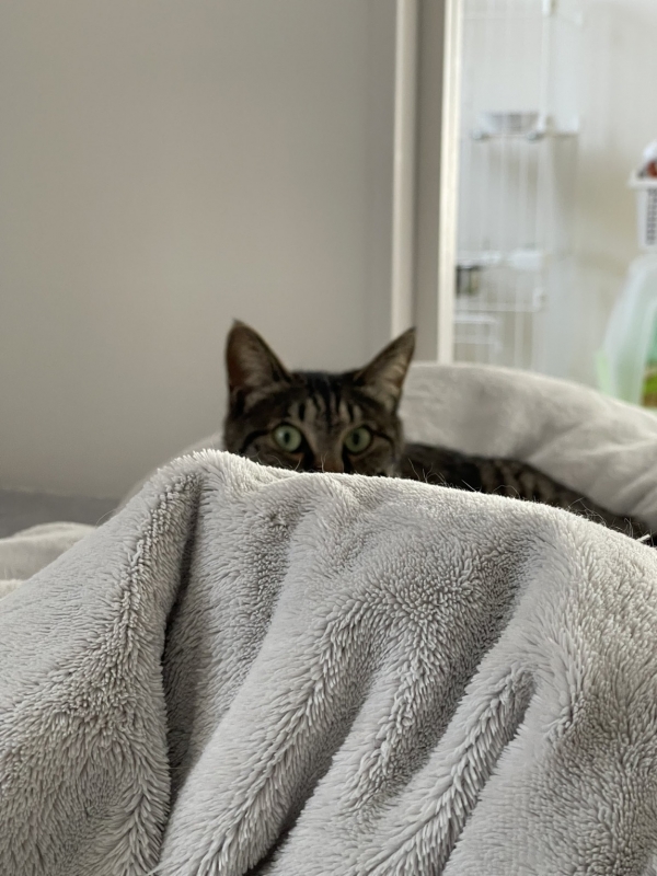 MINORI(ﾐﾉﾘ) はじめは誰だって警戒する