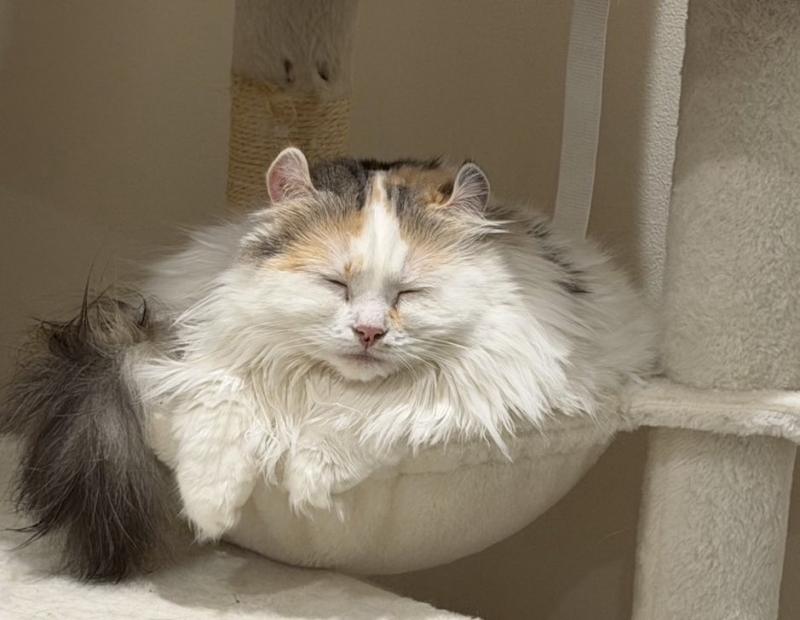 YUMA(ユウマ) 11月もラスト✌️