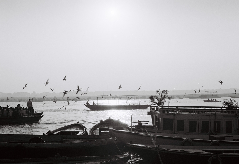 RAIKA(ﾗｲｶ) らいかの由来👶