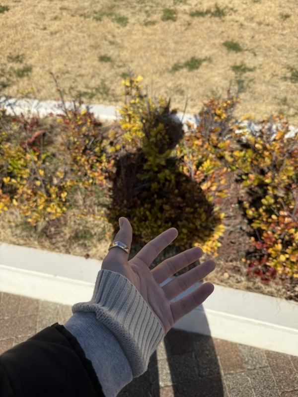 RIKU(ﾘｸ) あったまろ