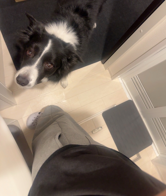 ATSUMU（ｱﾂﾑ） 歯磨きストーカー