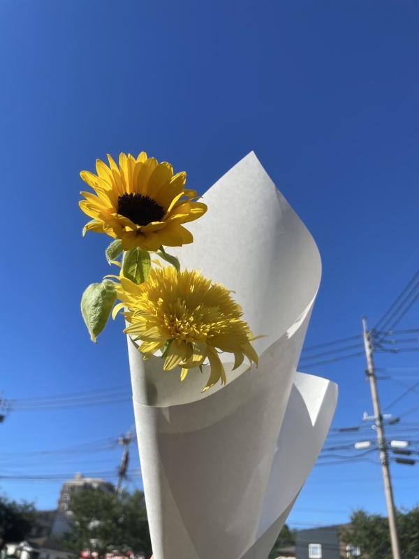 HIRO(ヒロ) 7/4〜7/6空き枠【※7、8日お休み】