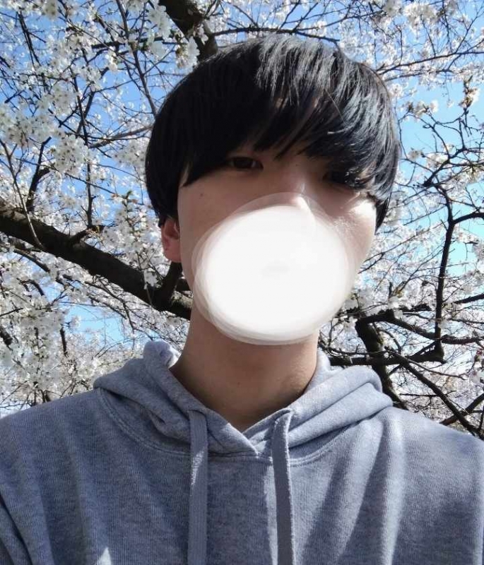 SANATO(サナト) 桜はなぜ美しい