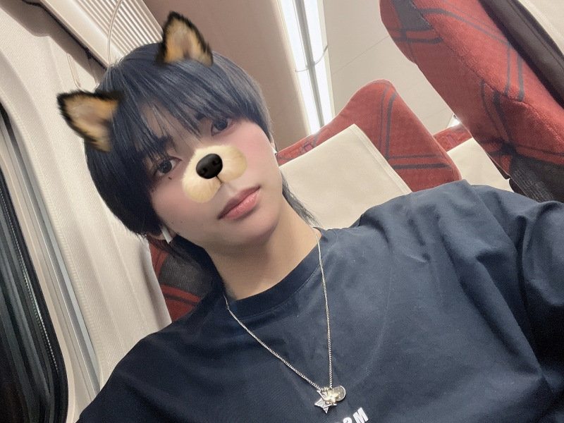 SAKUTO(ｻｸﾄ) 犬