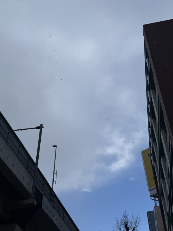 RAIJI(ライジ) 大阪で雪🧊