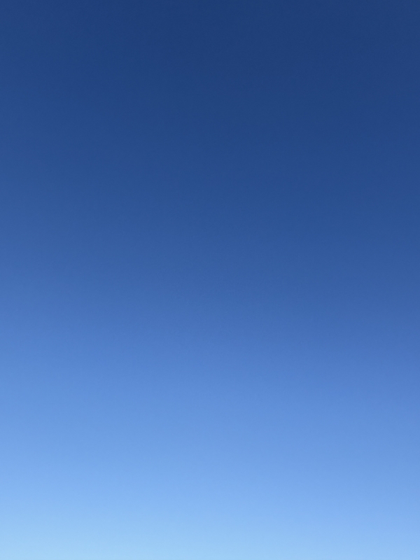 SHINGETSU(ｼﾝｹﾞﾂ) おはようございます！