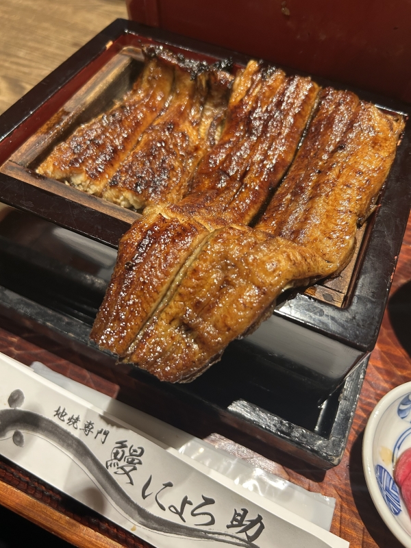 KONOSUKE(コウノスケ) にょろすけ こうのすけ