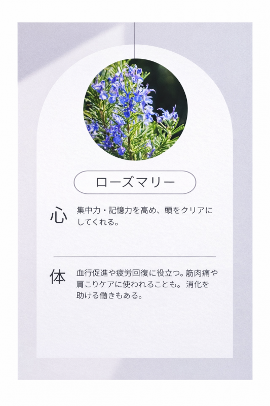 MIKURI(ﾐｸﾘ) ローズマリーちゃんについて