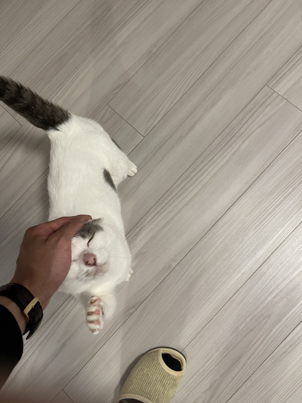 MINORI(ﾐﾉﾘ) その手なによ？笑