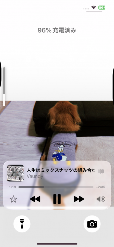 ARASHI(ｱﾗｼ) 【おはちん】